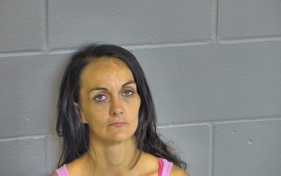 Yankeetown Park Vandal Arrested