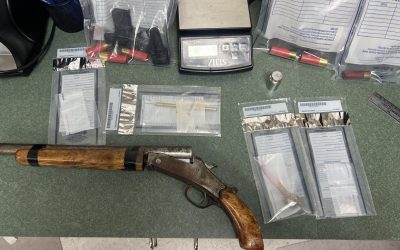 Improper Tag Results in Multiple Felony Charges