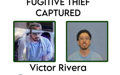 Thief Arrested in Multi-Agency Collaboration