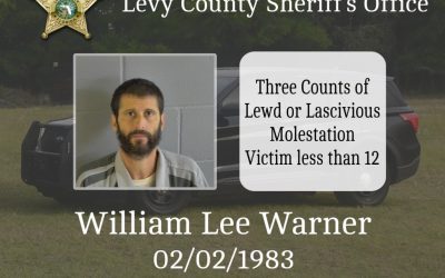 Morriston man on Probation arrested for Sex Crimes against Children