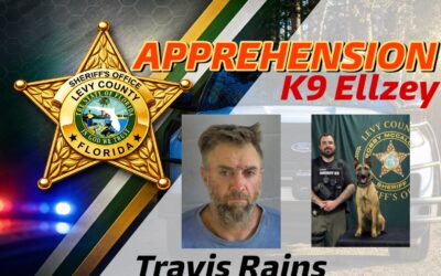 K9 Ellzey apprehends Cedar Key man for Felony Battery