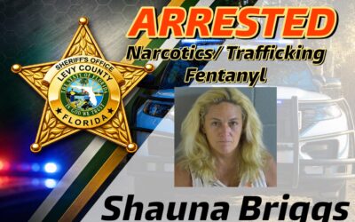 Bronson Woman Arrested for Narcotics Trafficking