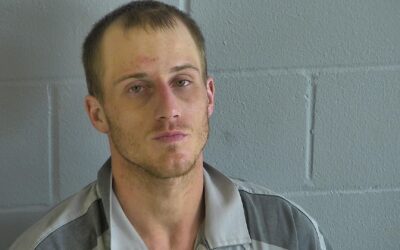 Bronson: Fleeing Suspect Apprehended