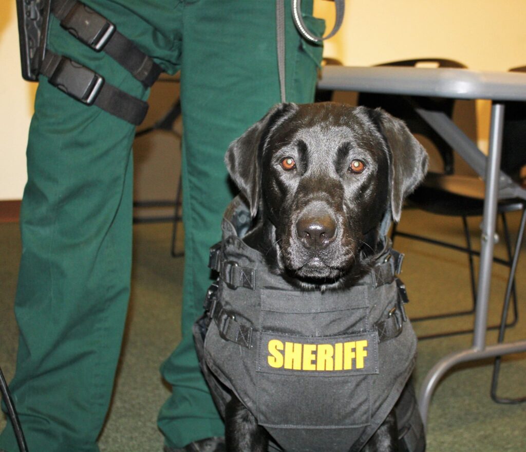 In Loving Memory of Canine Deputy Molly