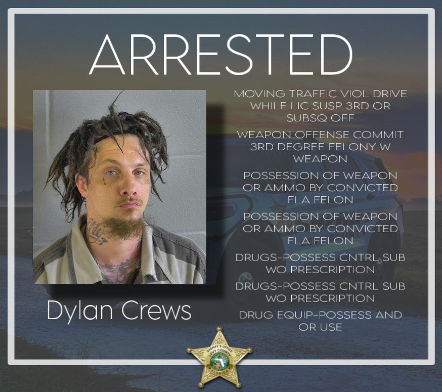 Levy Man Arrested for Drugs and Gun Violation